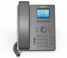 P11W Color Screen Wireless Entry-level IP Phone