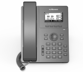 P10W Dual-band Wireless Entry-level IP Phone