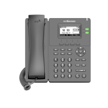 Flyingvoice P20P IP Τηλέφωνο